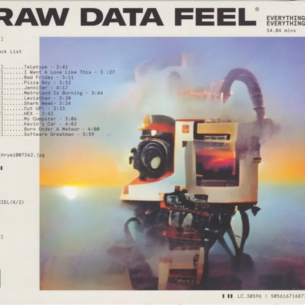 Everything Everything — Raw Data Feel
